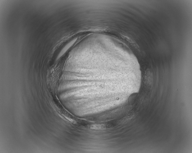 X0000080670303200701051015