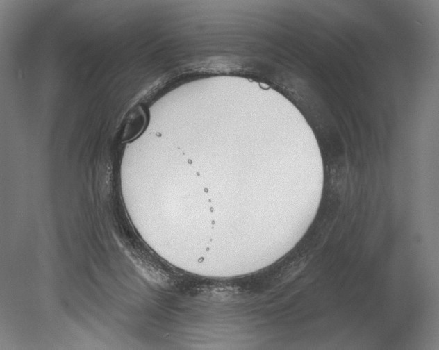 X0000080670304200701051015