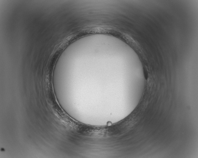 X0000080670306200701051015