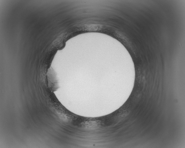 X0000080670307200701051015