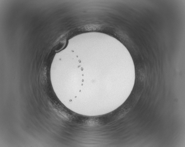 X0000080670308200701051015