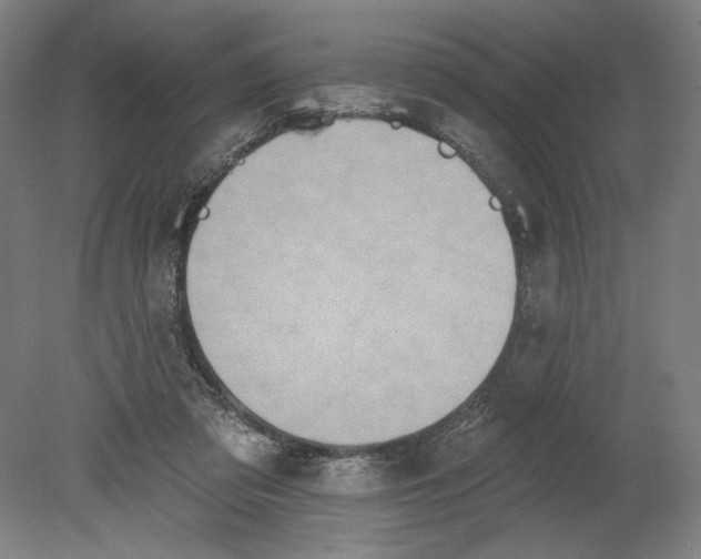 X0000080670309200701051015