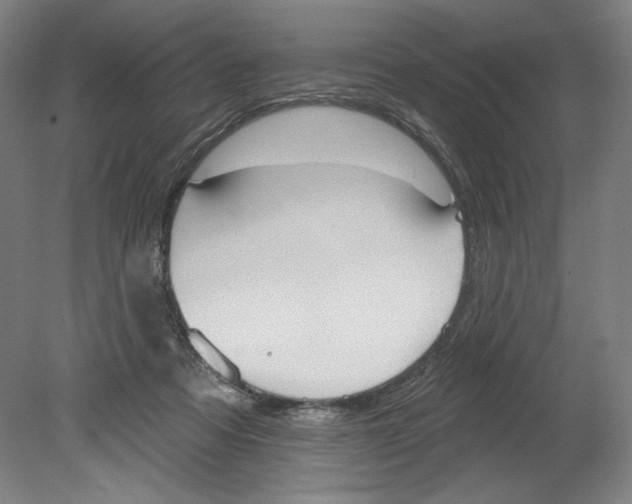 X0000080670313200701051015