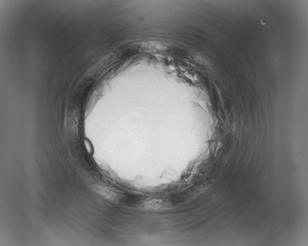 X0000080670315200701051015