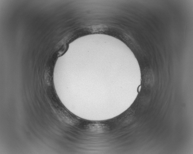 X0000080670316200701051015