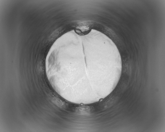 X0000080670317200701051015