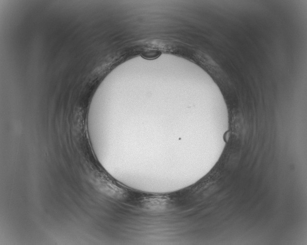 X0000080670318200701051015