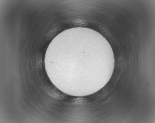 X0000080670320200701051015