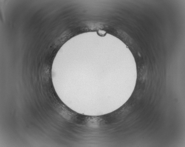 X0000080670321200701051015