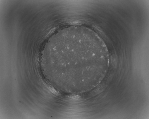 X0000080670322200701051015