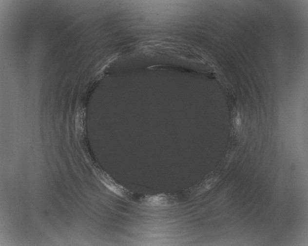 X0000080670325200701051015