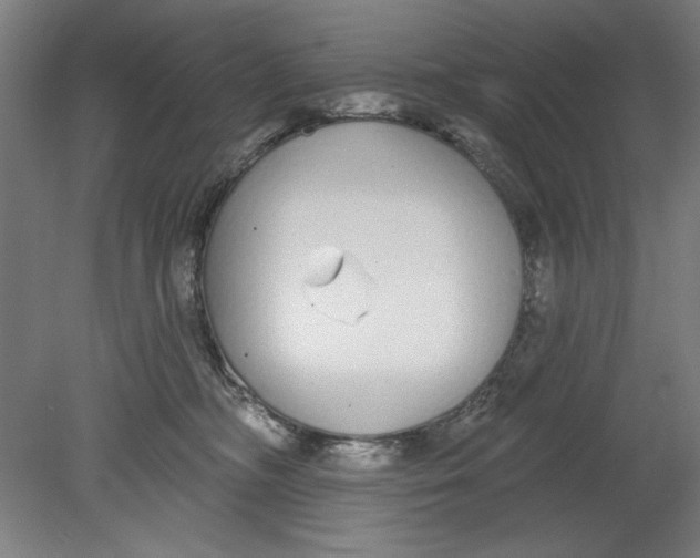 X0000080670326200701051015