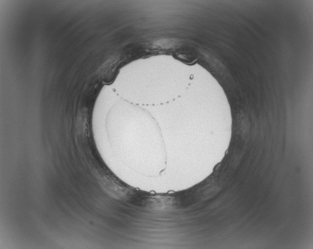 X0000080670328200701051015