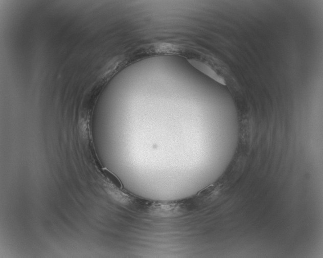 X0000080670329200701051015