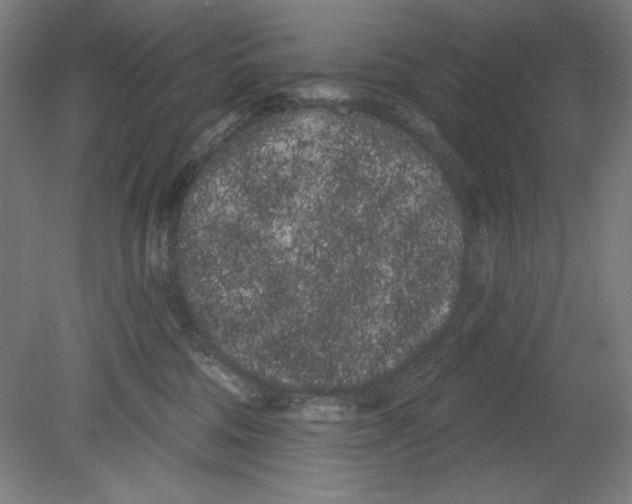 X0000080670330200701051015