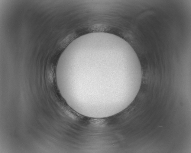 X0000080670334200701051015