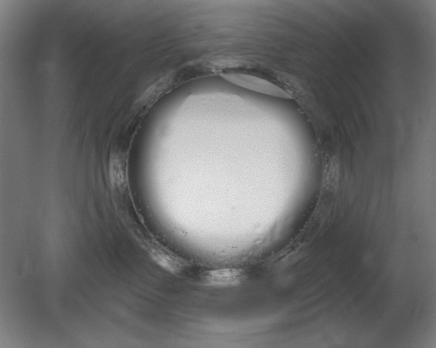 X0000080670335200701051015