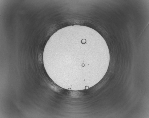 X0000080670336200701051015