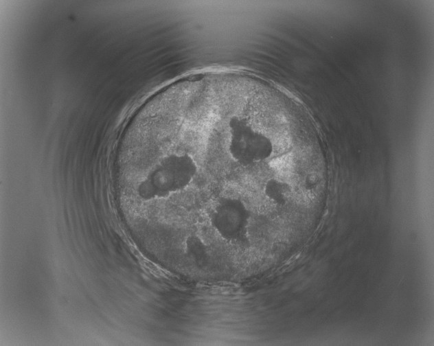 X0000080670337200701051014