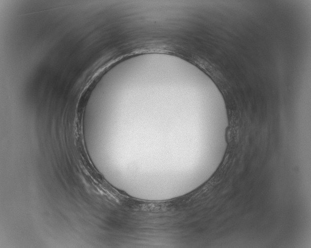 X0000080670338200701051014