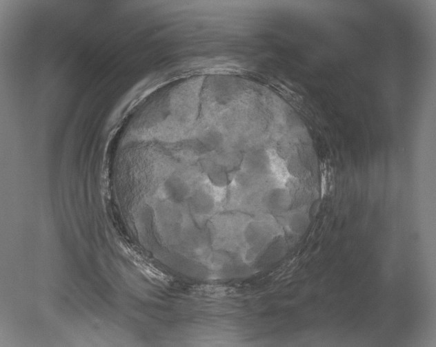 X0000080670339200701051014