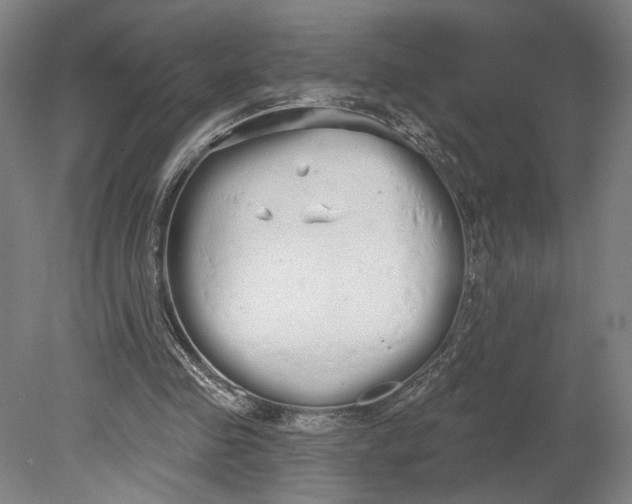 X0000080670341200701051014