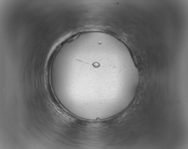 X0000080670342200701051014