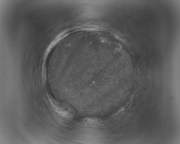 X0000080670343200701051014