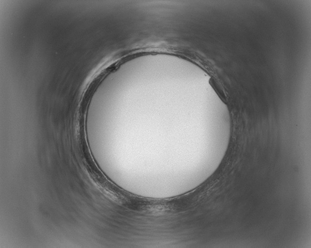 X0000080670344200701051014