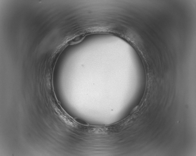 X0000080670345200701051014