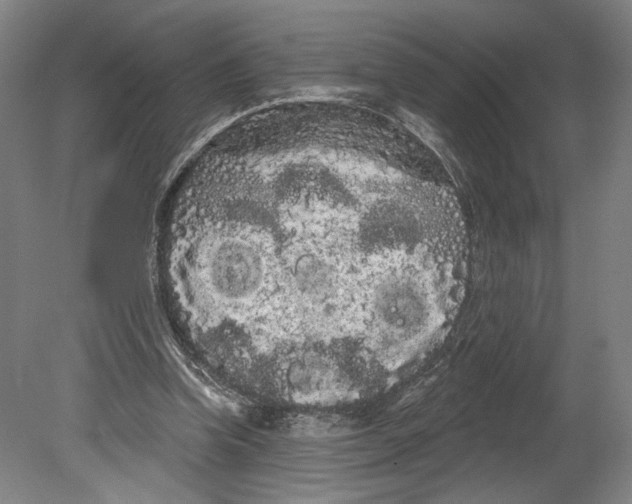 X0000080670346200701051014