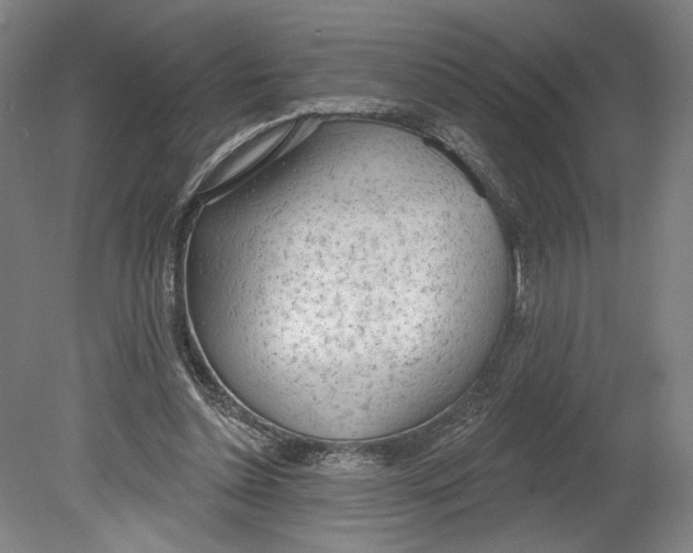 X0000080670348200701051014