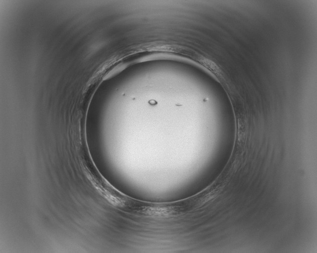 X0000080670349200701051014