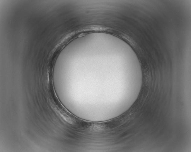 X0000080670350200701051014