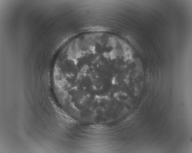 X0000080670351200701051014