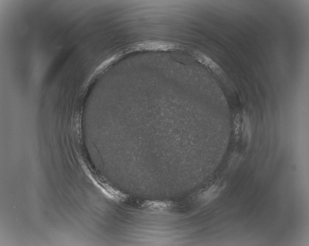 X0000080670352200701051014