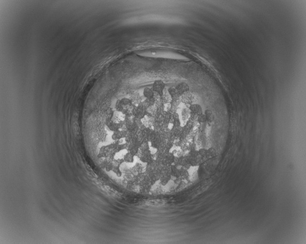 X0000080670353200701051014