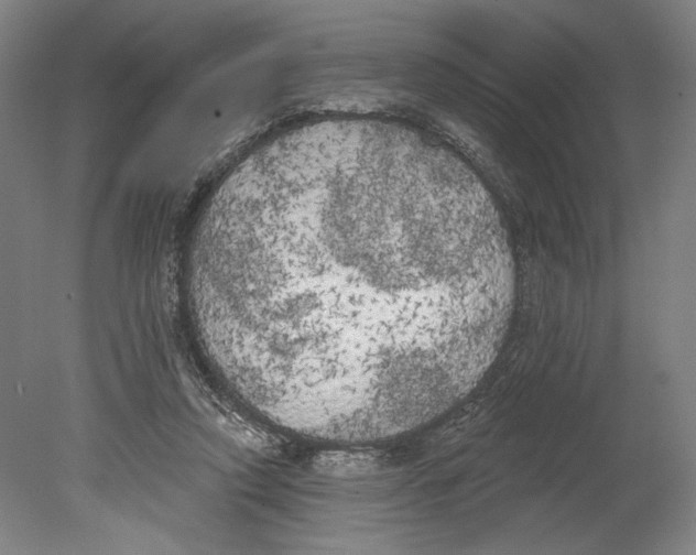 X0000080670354200701051014