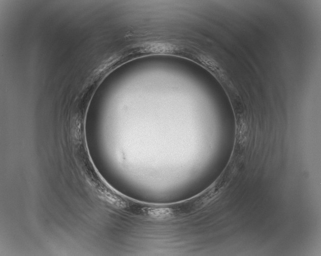 X0000080670355200701051014