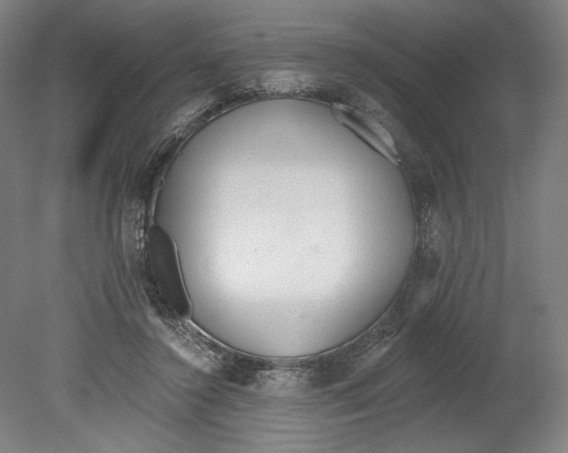 X0000080670356200701051014