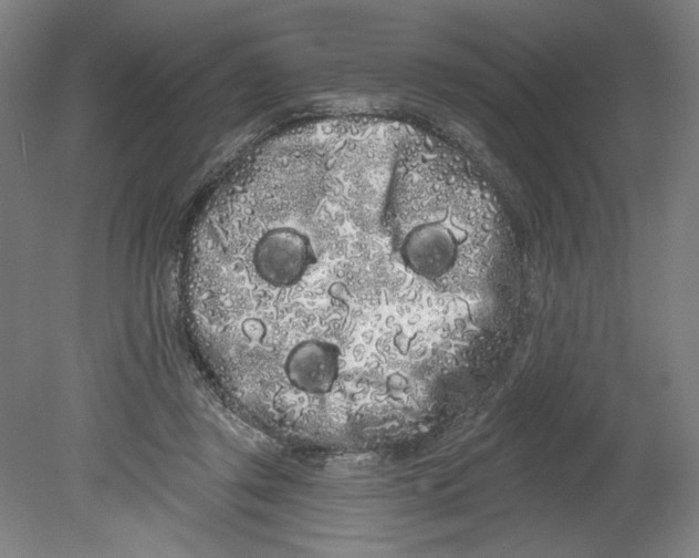 X0000080670357200701051014