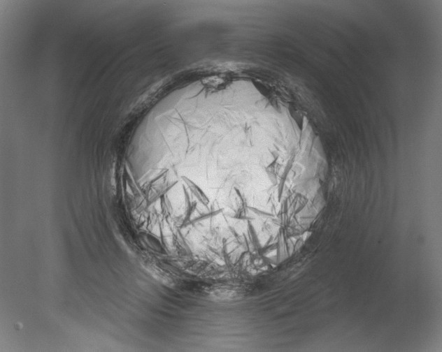 X0000080670358200701051014