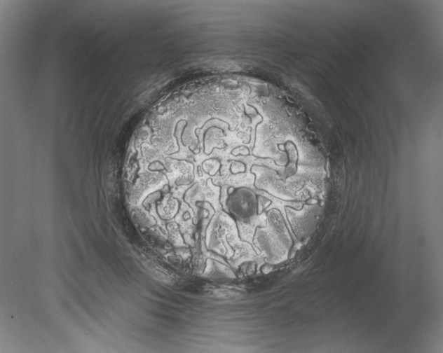 X0000080670359200701051014