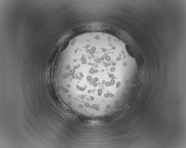 X0000080670360200701051014