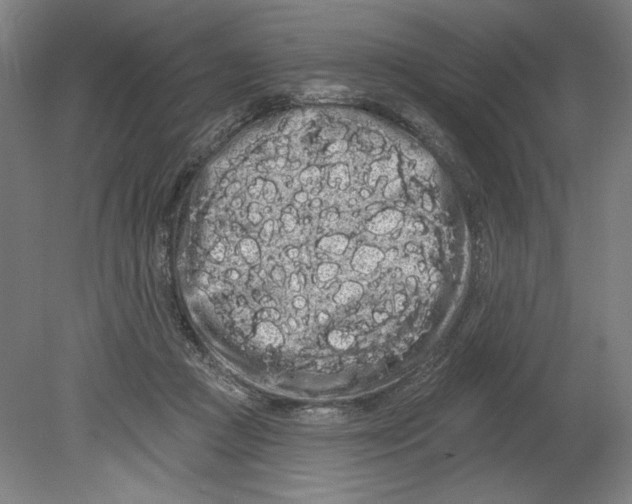 X0000080670361200701051014