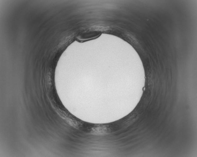 X0000080670362200701051014