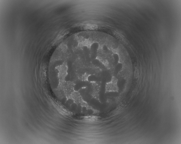 X0000080670363200701051014