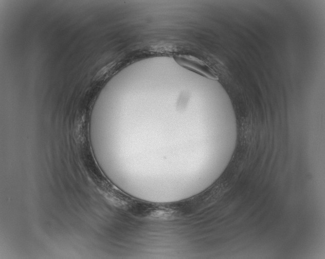 X0000080670364200701051014