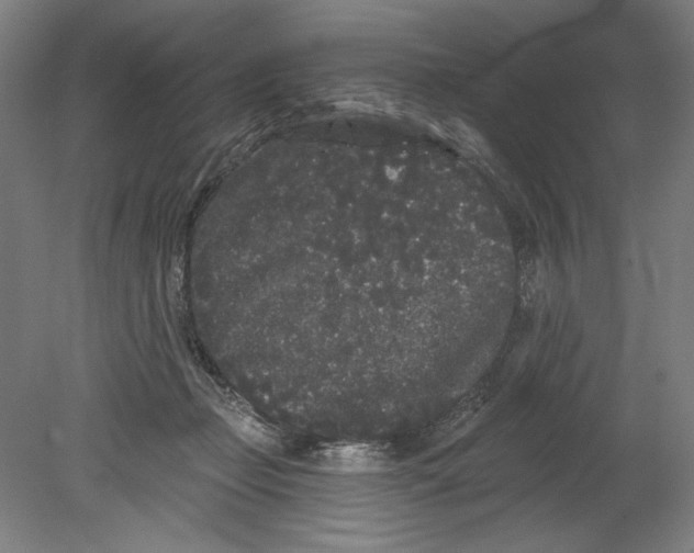 X0000080670365200701051014