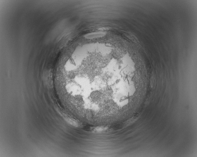 X0000080670366200701051014